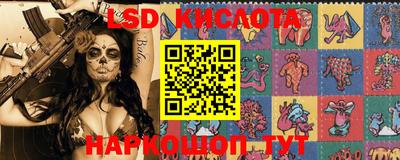 прущие крисы Сланцы