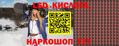 прущие крисы Сланцы