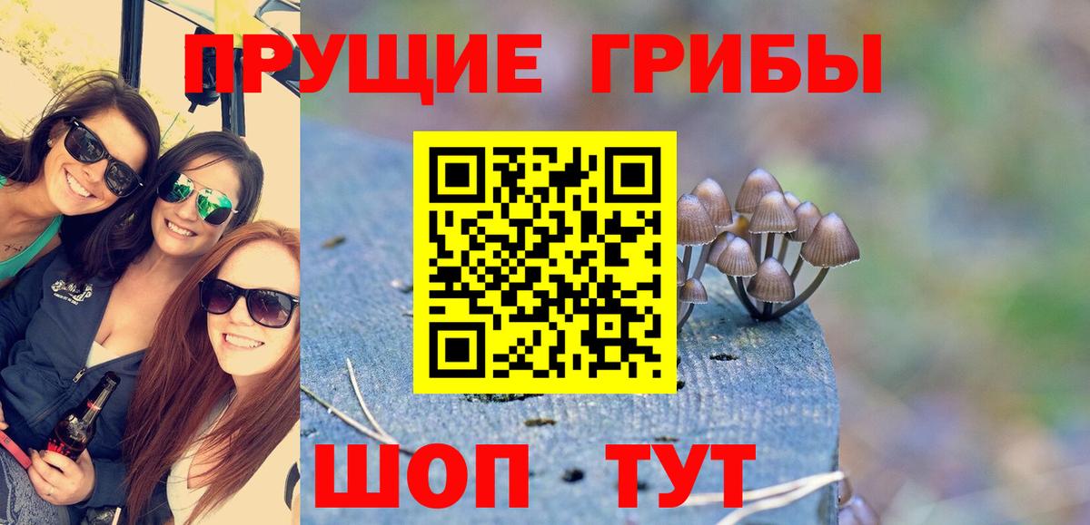 Псилоцибиновые грибы Magic Shrooms Астрахань