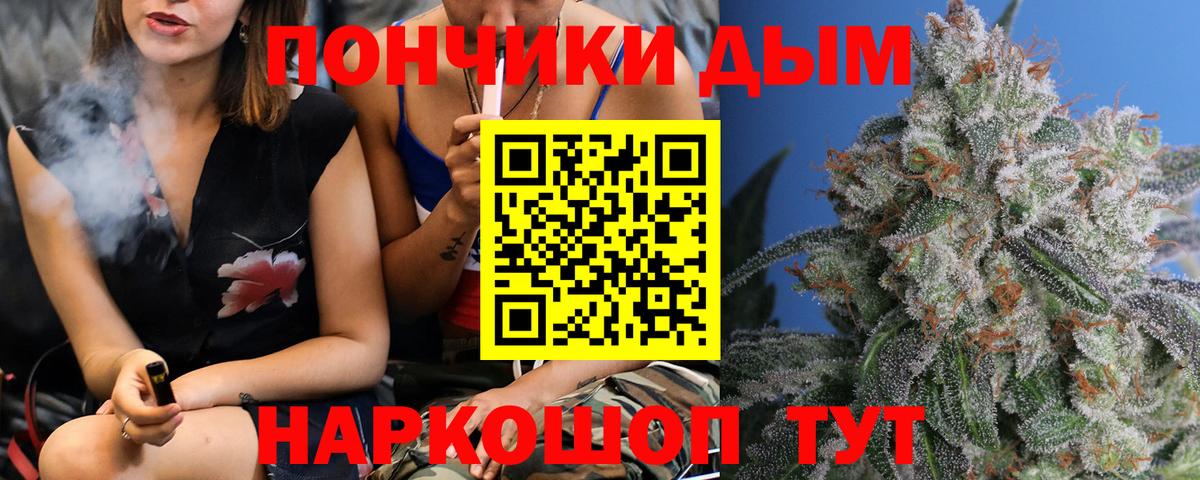 Бошки марихуана конопля Астрахань